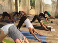 8 Days Ashtanga Yoga Retreat in Koufonisi, Greece