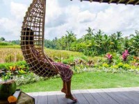 6 Days Yoga and Raw Food Retreat in Bali, Indonesia