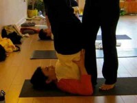 29 Days 200hr Yoga Teacher Training Course in New York