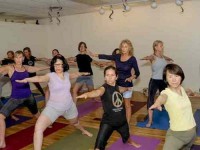 8 Days Sanibel Island Yoga Retreat in Florida