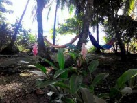 7 Days Radiant Energy Private Yoga Retreat in Panama