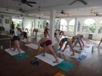 8 Days Luxury Yoga Retreat Hawaii with World Yoga Champion Cynthia Wehr