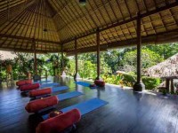 10 Days Revive Program in Bali Indonesia