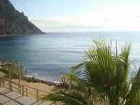 29 Days 300-Hour Advanced YTT in Ibiza, Spain