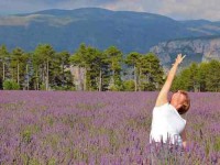8 Days Yoga and Cycling Retreat in Provence, France