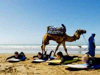 8 Days Yoga Surf Retreat in Morocco