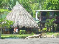 8 Days Sustainable Living, Costa Rica Yoga Surf Retreat