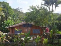 5 Days All-Inclusive Costa Rica Yoga Retreat