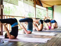 14 Days Yoga Detox Retreat in Koh Phangan, Thailand