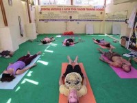 88 Days 500-Hour Yoga Teacher Training in India