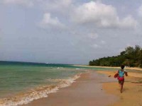 5 Days Summer Yoga Retreat in Jamaica