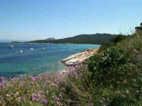 7 Days Yoga and Cuisine Holiday in Provence, France