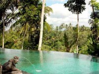 7 Days Nature and Yoga Retreat Bali