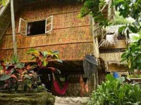 4 Days Organic Farm Yoga Retreat Ecuador