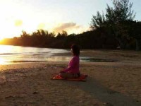7 Days Kauai Signature Yoga Retreat in Hawaii