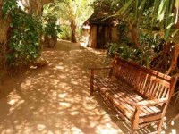 10 Days Family Yoga Retreat in Lamu Island, Kenya