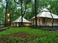 6 Days Yoga and Spa Retreat in India