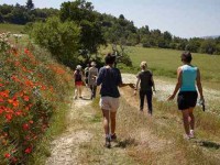 7 Days Yoga and Hill Walking Retreat in Spain