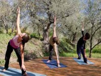 6 Days Cooking and Yoga Holiday in Spain