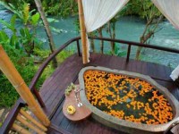 4 Days Yoga and Rejuvenation Retreat in Bali