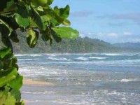 5 Days Detox, Surf, and Yoga Retreat in Costa Rica