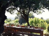 8 Days Music and Yoga Retreat in Spain