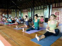 7 Days Intensive Yoga Retreat in Koh Phangan, Thailand