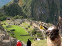 10 Days Sacred Feminine Medicine Yoga Retreat in Peru