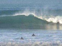 5 Days Best Waves Surf & Yoga Retreats in Costa Rica