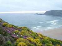 5 Days Couple's Surf and Yoga Retreat in Portugal