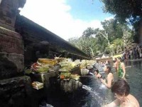 7 Days Bali Yoga Retreat in Indonesia