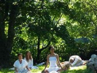 4 Days Conscious Cookery & Yoga Retreat in UK