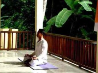 6 Days "Escape the World" Yoga Retreat in Ubud, Bali