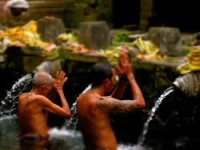 7 Days Bali Passion Yoga Retreat in Canggu