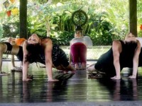 7 Days Unlimited Blissful Women's Yoga Retreat in Bali