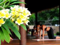 8 Days Explore Chakras Yoga Retreat in Goa, India