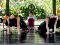 7 Days Women's Bliss Sanctuary Retreat in Bali