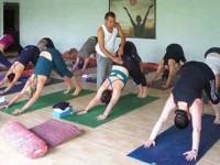 7 Days Yoga Retreat in Bali