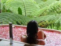 7 Days Yoga Retreat in Bali