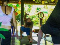30 Days 200hr Yoga Teacher Training in Bali, Indonesia