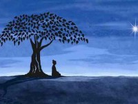 5 Days Bodhi Yoga & Meditation in North California