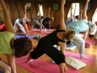 7 Days Hatha Yoga Immersion in New Zealand