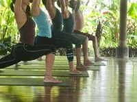 6 Days Therapeutic Personal Yoga Retreat in Bali