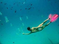 3 Days Freedive and Yoga Retreat in the Philippines