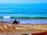 2 Days Surf и Йога Retreat Марокко	