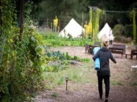 3 Days Glamping and Yoga Retreat in California, USA