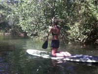 8 Days 40 Hours SUP YTT Certification in Costa Rica