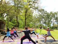 7 Days Yoga Retreat in Amsterdam