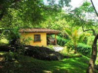 8 Days Relaxation, Adventure, & Yoga Retreat Costa Rica