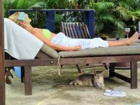 8 Days Relaxation, Adventure, & Yoga Retreat Costa Rica